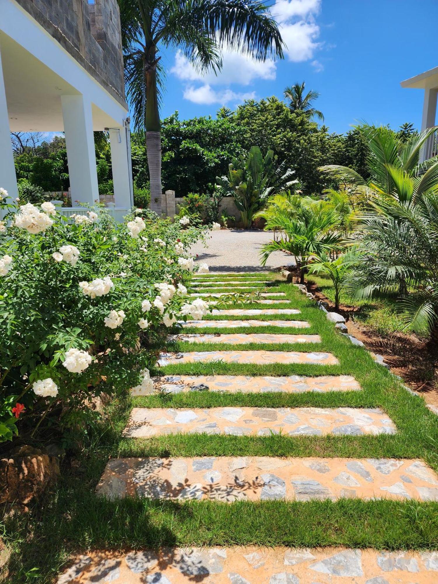 Bella Villa Room With Large Pool And Close To Beach Las Galeras Exteriör bild