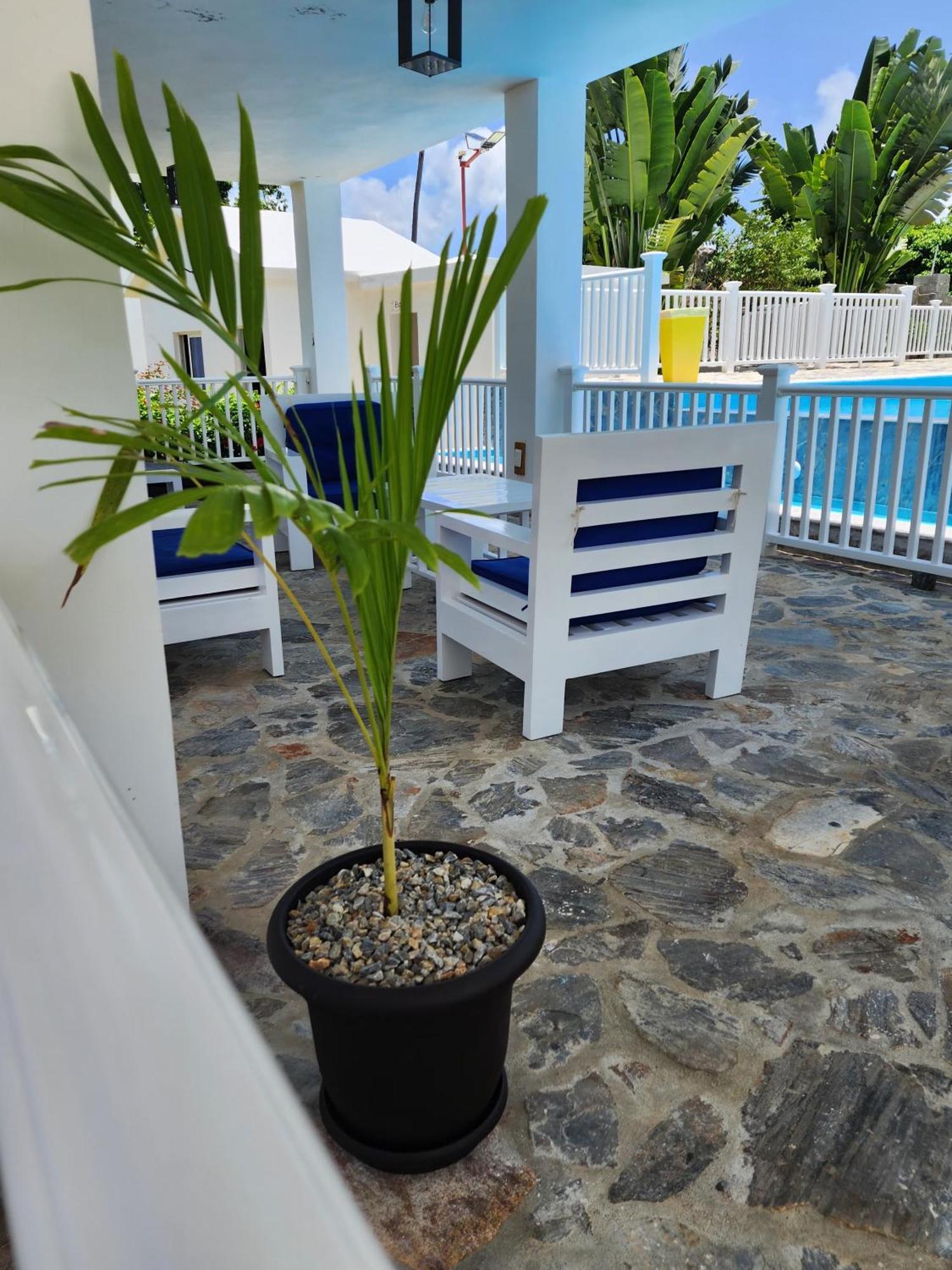 Bella Villa Room With Large Pool And Close To Beach Las Galeras Exteriör bild